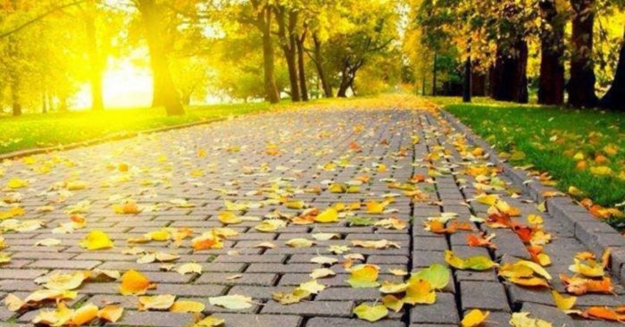 Dưỡng sinh phòng bệnh mùa thu: 3 điều kiêng kỵ