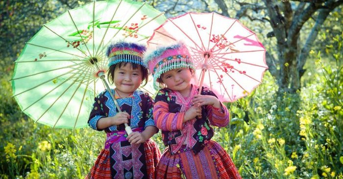 Những bông hoa nhỏ giữa núi rừng Tây Bắc
