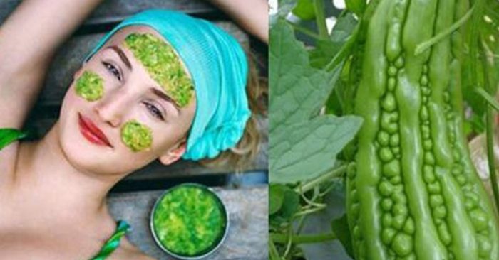 Mặt nạ mướp đắng... Mướp đắng tính mát, không nên dùng cho người tỳ vị hư hàn (rối loạn chức năng tiêu hóa do lạnh). - Mướp đắng trộn rau cần: Mướp đắng 150g; rau cần 150g, tương mè; tỏi nhuyễn mỗi thứ với lượng vừa. Trước tiên gọt bỏ vỏ, ruột mướp đắng cắt thành sợi nhỏ, trần qua nước sôi, rồi lại dùng nước lạnh dội qua, để ráo nước, sau đó trộn mướp đắng với rau cần, nêm thêm các vật liệu. Món ăn có tác dụng mát gan giảm huyết áp, thích hợp dùng cho người bệnh cao huyết áp. - Trà mướp đắng: Mướp đắng 1 quả, trà xanh với lượng vừa. Mướp đắng cắt bỏ một phần trên, móc bỏ ruột, nhét trà xanh vào, treo trái mướp đắng ở nơi thoáng gió; một thời gian sau, lấy xuống, rửa sạch, cùng trà cắt nhuyễn, trộn đều, mỗi lần lấy 10g cho vào một tách, hãm với nước sôi. Món trà này có tác dụng thanh nhiệt giải thử (làm mát chống say nắng); miệng khát phiền nhiệt.
