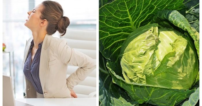 bắp cải trị đau nhức xương khớp mùa đông vô cùng hiệu quả
