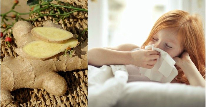 đánh gừng phòng ho,trị cảm lạnh cực hiệu quả