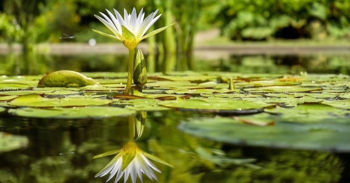 sống ở đời có 4 việc "không đáng" để lãng phí thời gian