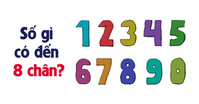 Câu đố mẹo: Số gì có đến 8 chân?