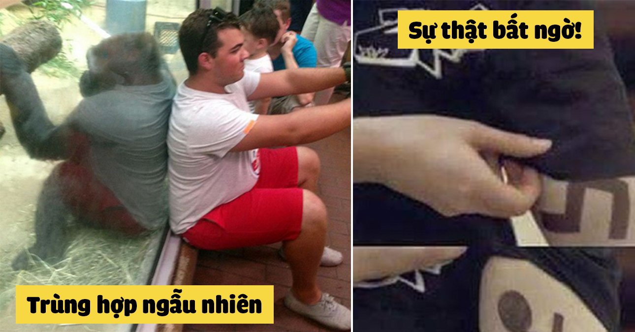 ảnh hài: Sự thật bất ngờ
