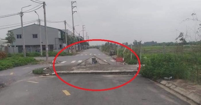 Mộ tổ mọc lên giữa đường