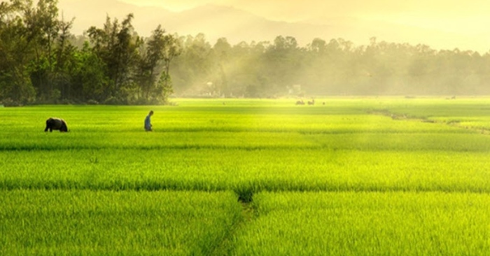 Một thời để nhớ
