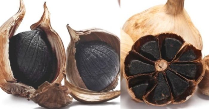 Tỏi đen (Black Garlic) là thành phẩm của tỏi trắng đã trải qua quá trình lên men chậm, trong điều kiện nghiêm ngặt về nhiệt độ (60 độ C - 90 độ C); và độ ẩm từ 80 - 90 độ. Thời gian lên men kéo dài từ 30 - 90 ngày. Đó là quá trình tỏi trắng được lên men thành tỏi có màu đen nhánh