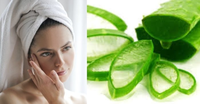 Nha đam (lô hội) chứa nhiều dưỡng chất có tác dụng dưỡng ẩm và làm trắng da vô cùng hiệu quả