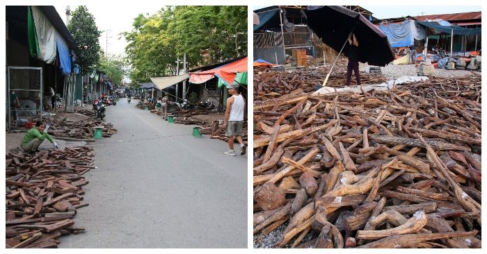 Chợ "củi" có giá tiền triệu một cân