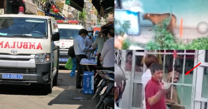 Từ trái qua: Người dân tại con hẻm 287 Nguyễn Đình Chiểu (quận 3) bị đi cách ly sau khi có 3 ca nhiễm ở đây; con chó Pitbull hơn 60 kg cắn chết người (ảnh chụp màn hình báo Lao Động/Thanh Niên & https://www.youtube.com/watch?v=qOlgKgtOZwI)