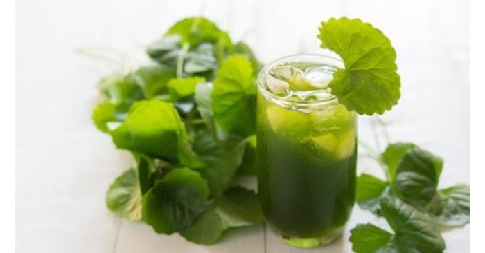 Nước rau má loại đồ uống giải nhiệt mùa hè ngon mát, bổ dưỡng rất tốt cho sức khỏe và làn da. Nhưng theo chuyên gia, để có tác dụng tốt cho sức khỏe cần uống nước rau má đúng cách; nếu không sẽ gây hại cho người sử dụng