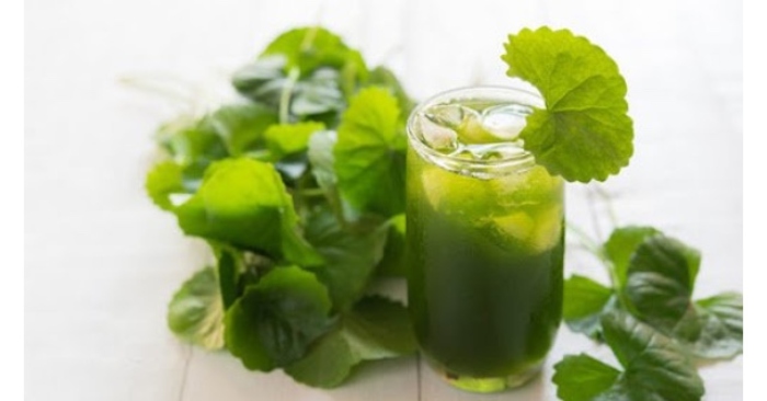 Nước rau má loại đồ uống giải nhiệt mùa hè ngon mát, bổ dưỡng rất tốt cho sức khỏe và làn da. Nhưng theo chuyên gia, để có tác dụng tốt cho sức khỏe cần uống nước rau má đúng cách; nếu không sẽ gây hại cho người sử dụng