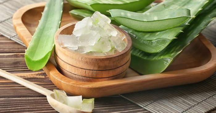 Nha đam rất giàu dinh dưỡng và nó được dùng như một loại thực phẩm hàng ngày như: làm nước ép, sữa chua nha đam hay dùng để nấu chè; nên nhiều người (đặc biệt là chị em) băn khoăn rằng: nam giới ăn nha đam có bị vô sinh không? Và tác dụng của nha đam là gì?