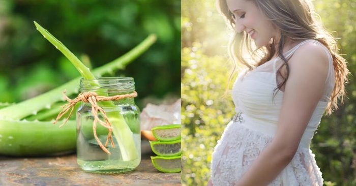 Trong ẩm thực, nha đam được chế biến thành nhiều món ăn, thức uống hấp dẫn và bổ dưỡng. Tuy nhiên, bà bầu có ăn nha đam được không? Đây là câu hỏi mà chị em đều băn khoăn khi đang trong thai kỳ.