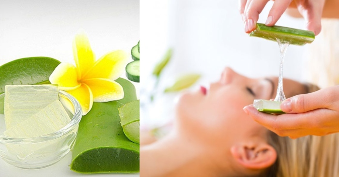 Nha đam nổi tiếng với công dụng trong chăm sóc sức khỏe và nhan sắc. Nhưng liệu bôi nha đam trực tiếp lên mặt có tốt không? Có hại không? Cùng Mucwomen tìm lời giải đáp nhé!