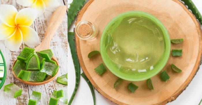 Trong gel nha đam rất giàu các vitamin C, A, E và B12… đây là những chất chống oxy hóa mạnh mẽ; giúp bảo vệ và chăm làn da của bạn. Cách làm gel nha đam dưỡng da cũng rất đơn giản; bạn có thể tự làm cho mình một lọ gel nha đam thật chất lượng để làm đẹp da an toàn mà hiệu quả.