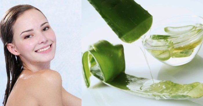 Sử dụng cách làm trắng da toàn thân bằng nha đam là một gợi ý tuyệt vời dành cho những nàng có làn da khô nứt, đen xạm; nhanh chóng khắc phục được vấn đề và sở hữu ngay một làn da tươi trẻ và trắng sáng mịn màng.