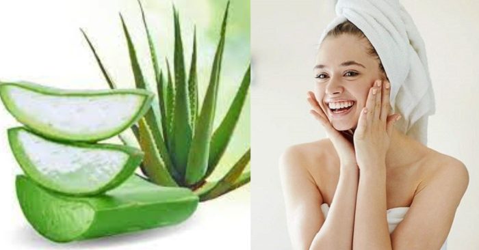 Cách trị nám bằng nha đam là phương pháp khá phổ biến được nhiều chị em tin dùng. Các vitamin và khoáng chất trong nha đam giúp làm mờ nám, sáng da hiệu quả.