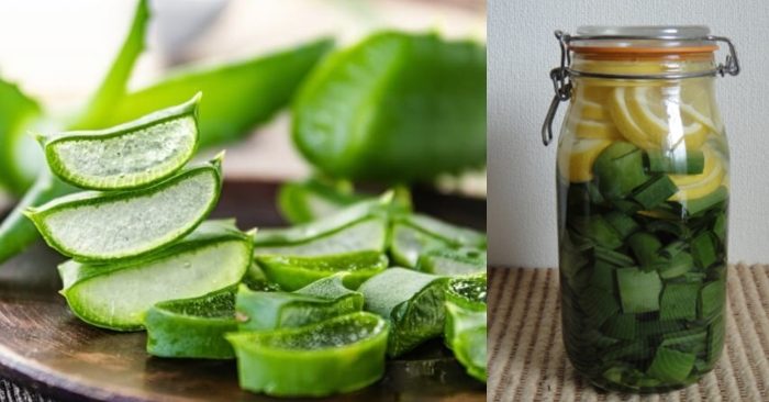 Nhiều chị em – những tín đồ làm đẹp, còn chia sẻ với nhau về bí quyết chăm sóc sắc đẹp của mình với công thức nha đam ngâm rượu – Đây chính là công thức làm đẹp da của phụ nữ Nhật, giúp họ luôn có làn da căng bóng và trẻ trung