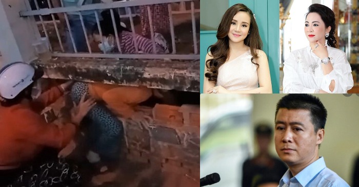 Từ trái qua: Hình ảnh bệnh nhân trốn khỏi bệnh viện ở Bình Thuận đêm 1/7; ca sĩ Vy Oanh và doanh nhân Phương Hằng; trùm cờ bạc Phan Sào Nam