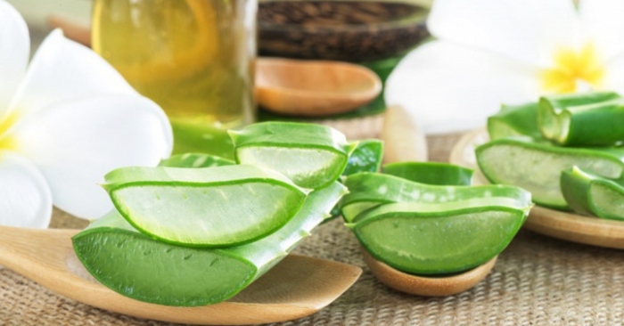 Cách làm mặt nạ nha đam dầu dừa đơn giản, có tác, cây, có khả, đặc biệt là, với nước, cấp ẫm.