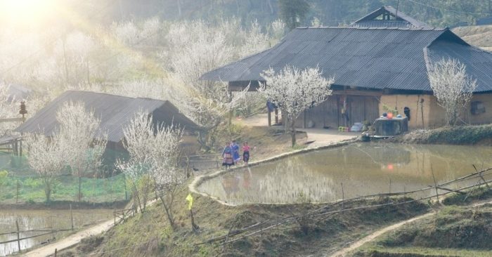 bài hát, gia đình, thời gian, tình yêu, trái tim, cô đơn, có thể, lời bài hát, hạnh phúc, cuộc sống.