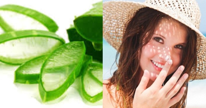Việc đắp mặt nạ nha đam có ăn nắng không, còn phụ thuộc vào cách sử dụng nha đam đắp mặt.