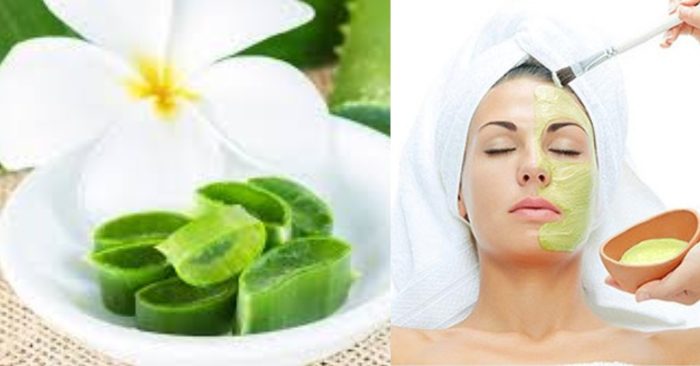 Mặt nạ nha đam bạn chỉ nên đắp 2- 3 lần/ 1 tuần là đủ để da có thể hấp thụ hết các dưỡng chất