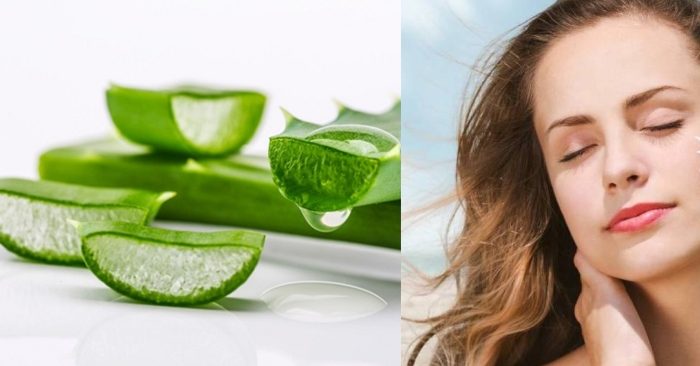 Đắp nha đam lên mặt mỗi ngày là cách giúp da trắng mịn nhờ hấp thụ trực tiếp các dưỡng chất