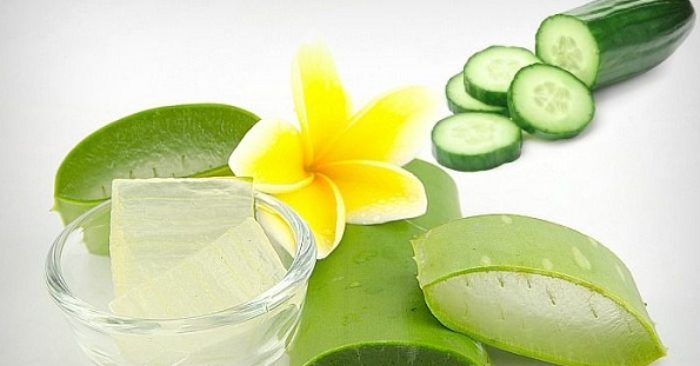 Lá nha đam – Quà tặng từ thiên nhiên cho sức khỏe con người; da; chữa bệnh; ngoài ra; tác dụng của.