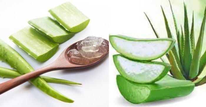 Tác hại của nha đam rất lớn với sức khỏe và làn da của bạn khi lạm dụng và sử dụng sai cách